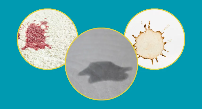 Spot Carpet Cleaner Solutions: Choosing the Best Home System